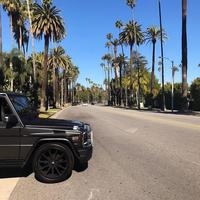 Отзыв от Игорь - DTV виза